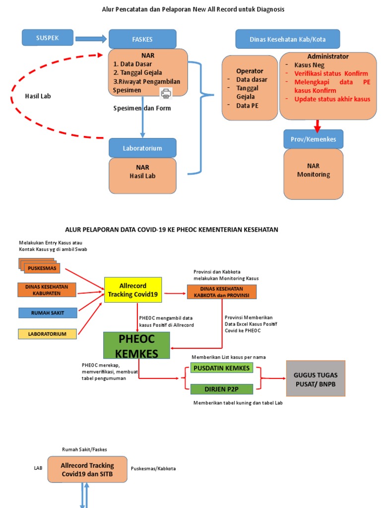 Alur Pelaporan Data COVID-19 ke PHEOC | PDF | Teknologi & Rekayasa