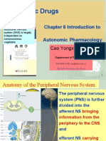 Chapter 6 Introduction To Autonomic Pharmacology