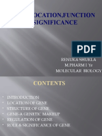 Gene Location, Function & Significance