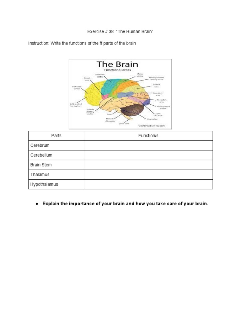 Template - Exercise # 38 - 