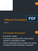 Aquatic Ecosystems Grade 5