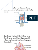 Metabolisme Yodium