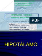 Anatomia Hipotalamo, Hipofisis, Tiroides, Paratiroides