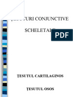 Histologie-Lp6 Tesutul Cartilaginos Osos