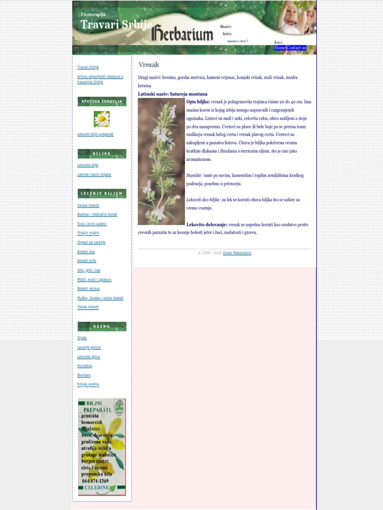 Vresak - Biljka - Lekovito Bilje - Trave | PDF