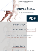  biomecânica