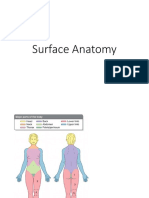Legmed Surface Anatomy