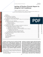 Therapeutic Targeting of Nuclear Protein Import in Pathological Cell Conditions