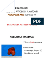 Praktikum Neoplasma 2016