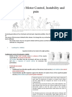 Theme 3. Lumbopelvic Motor Control, Instability and Pain