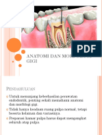 2.ANATOMI DAN MORFOLOGI GIGI Edit