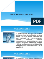 Microbiologia Del Agua