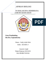 ISOLASI DNA BUAH