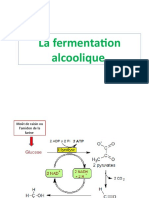 Fermentation Alcoolique