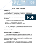 Respiração, Aeração Ou Ventilação