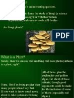 Importance of Plants