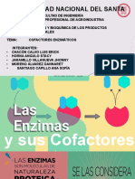 Cofactores Enzimáticos