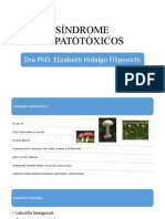 Síndrome hepatotóxicos: clasificación, patogenia y prevención