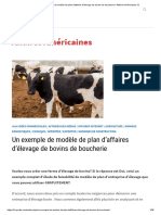 Un Exemple de Modèle de Plan D'affaires D'élevage de Bovins de Boucherie Affaires Américaines !!!!