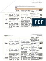 Tipos de Fallas y Deterioros en Pavimentos de Concreto Asfáltico