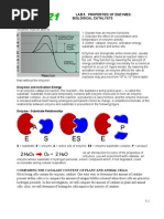 Enzyme Lab | PDF | Catalase | Enzyme