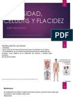 Adiposidad, Celulitis y Flacidez 1