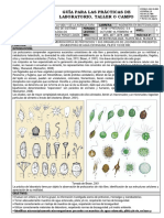 Guia Lab Sist Biolog Protozoos 201811