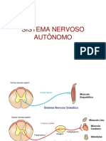 Sistema Nervoso Autonomo - 2013