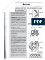 Proteins Sheets