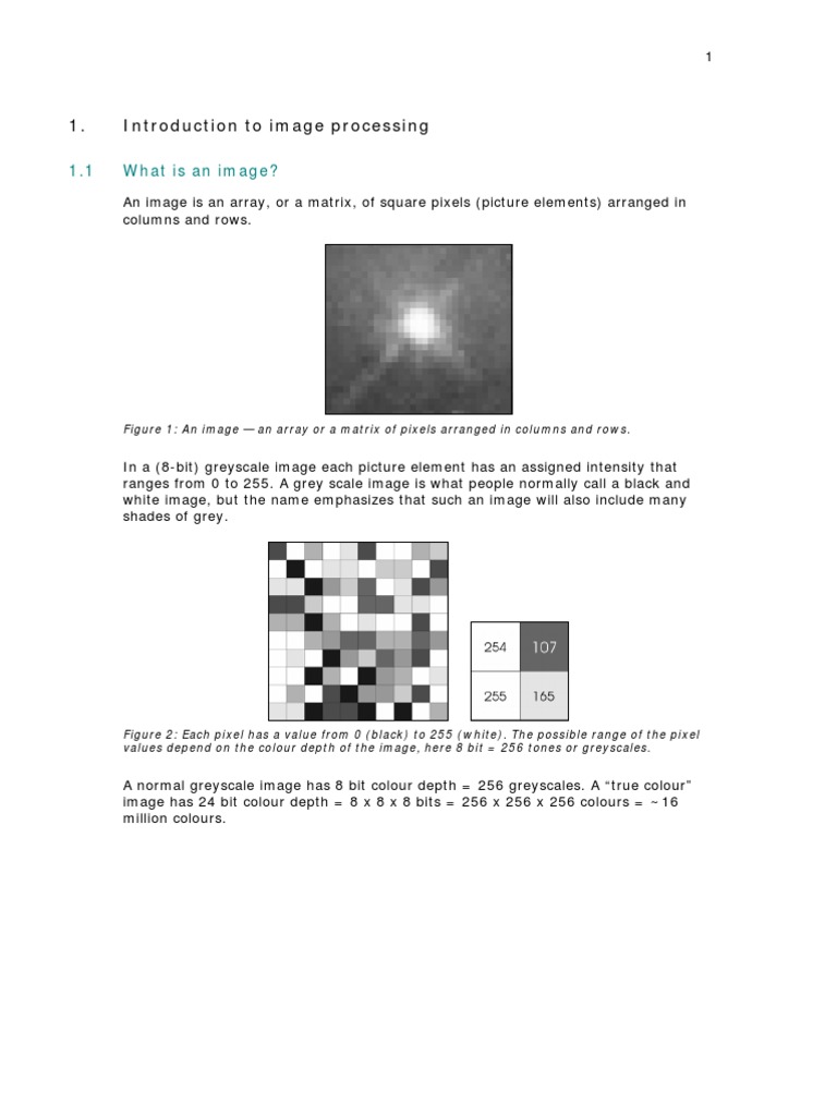 Image Processing | PDF