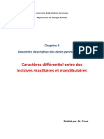 Caractères Différentiel Entre Des Incisives Maxillaires Et Mandibulaires - TERRA