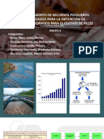 GRUPO 4-Aprovechamiento de Recursos Pesqueros Infrautilizados para La Obtención de Alimentos Mejorados para El Cultivo de Peces