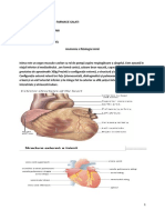 Fiziologie An II-curs 1