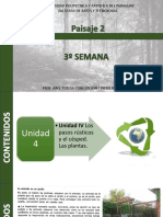 Material Semana 3. Unidad IV Los Pasos Rústicos y El Césped. Las Plantas.