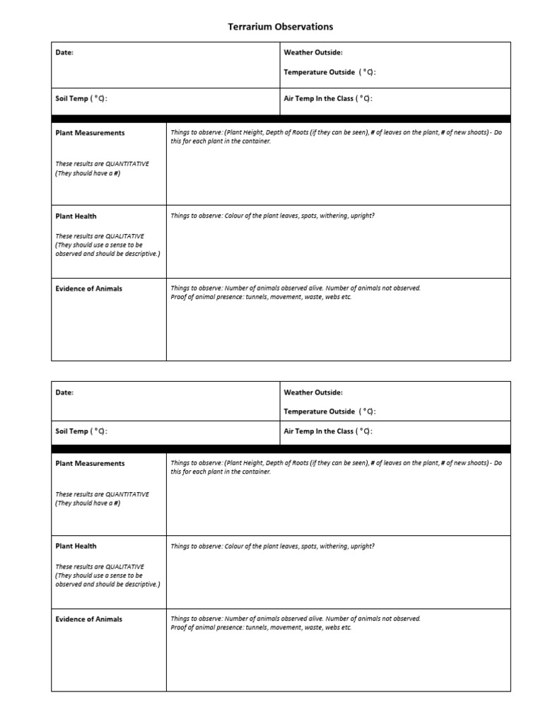 06.terrarium Observation Sheet PDF Root Quantitative Research