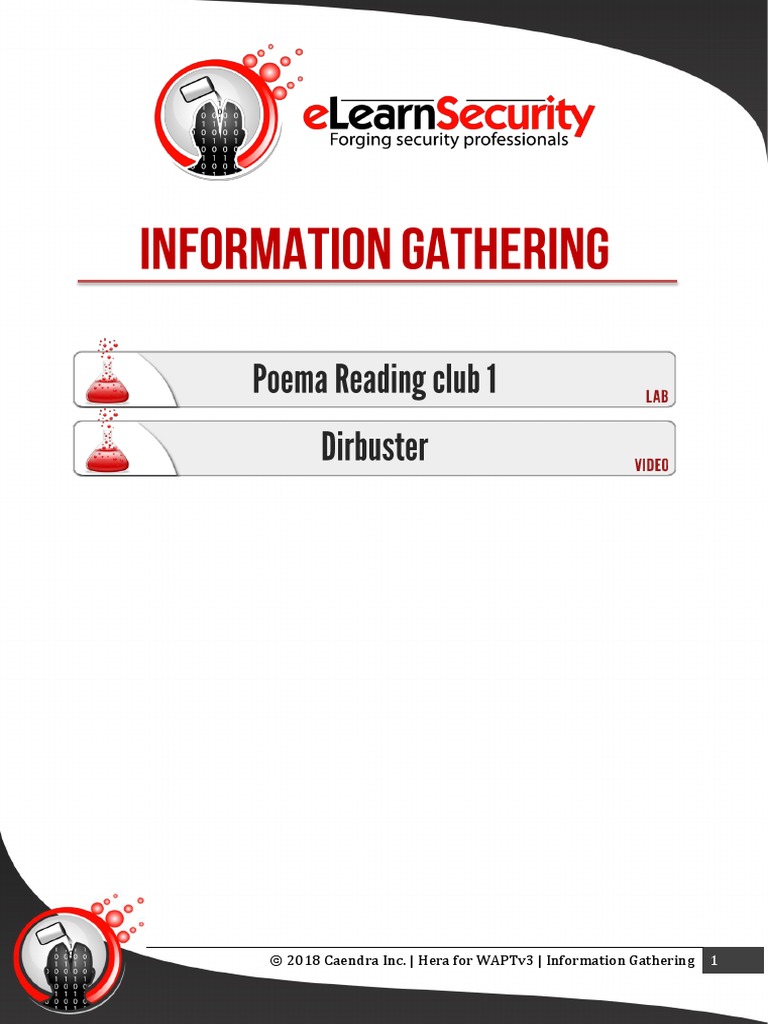 02 Information Gathering | PDF | Domain Name System | Proxy Server