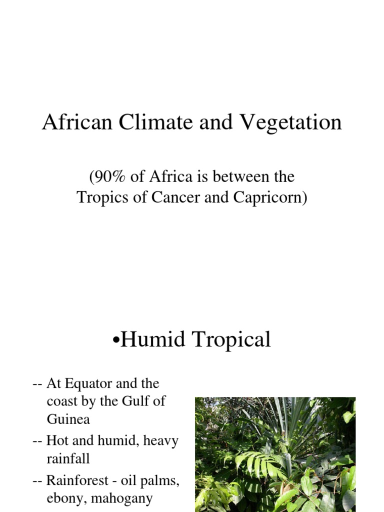 African Climate and Vegetation: (90% of Africa Is Between The Tropics ...