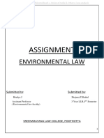 Environmental Law Assignment Final