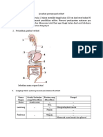 Soal Sistem Pencernaan