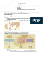 LKPD Biologi