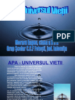 apa-moraru-090929135230-phpapp01