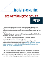 Ses Bi̇lgi̇si̇ (Foneti̇k)