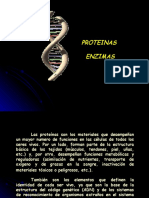 Proteinas enzimas