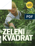 Zeleni kvadrat