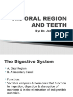 The ORAL REGION AND TEETH