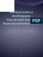 Afectiuni Acute Cu Bronhospasm.criza de Astm Bronsic. Puseul de Exacerbare BPOC-2