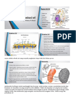 Organ Sel