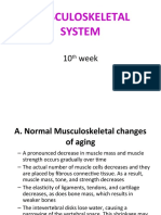 Musculoskeletal System: 10 Week