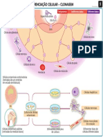 2008-7-11-11-57-25-511__aebg11mv_transparencia_5