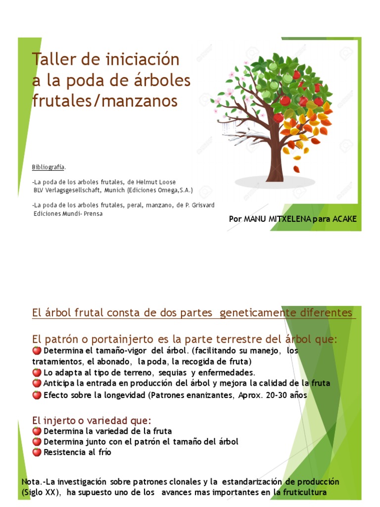 Poda Presentacion | PDF | manzana | Injerto